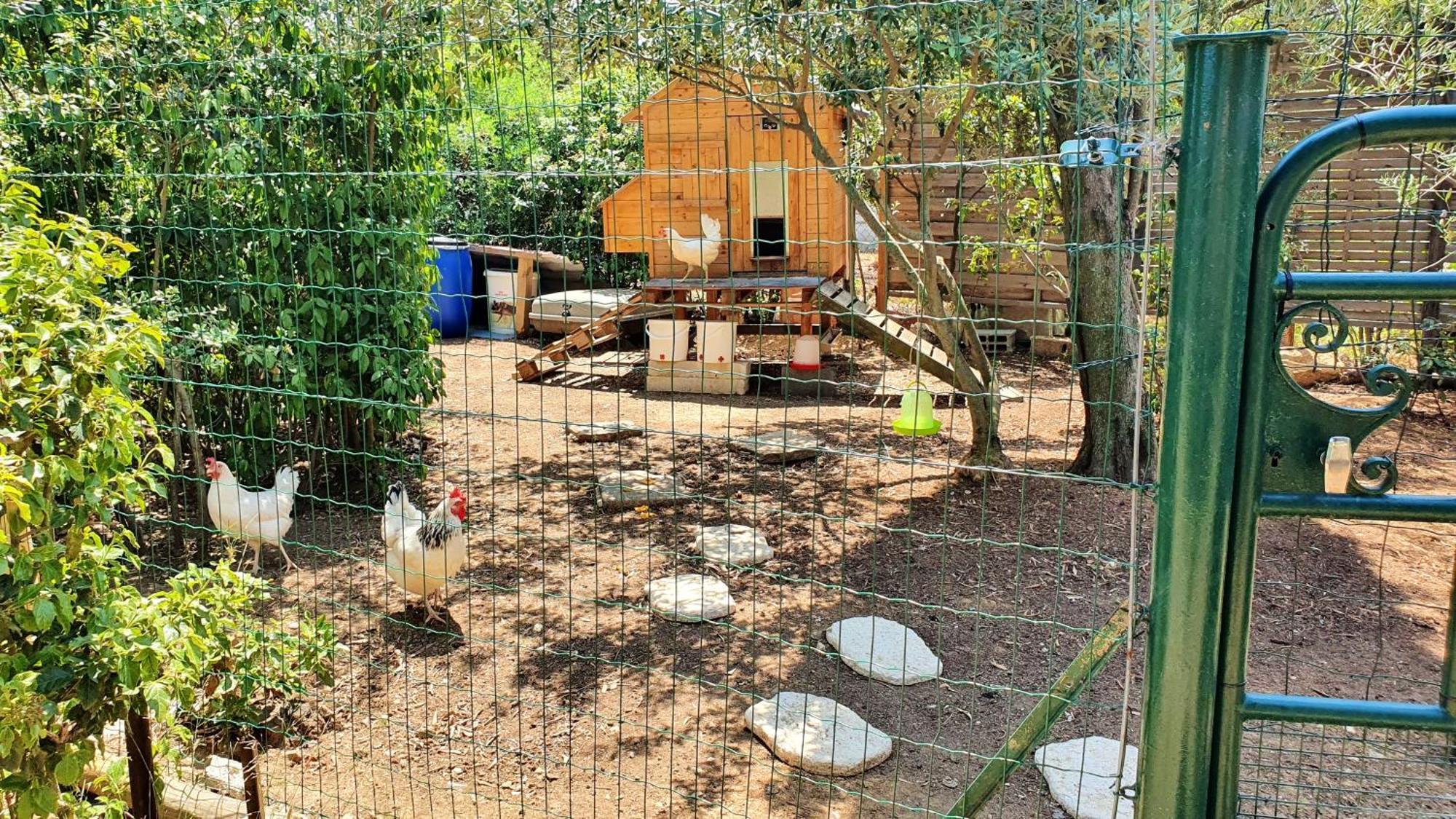 Villa Spacieuse A Beziers Avec Piscine Privee Et Jacuzzi Kültér fotó